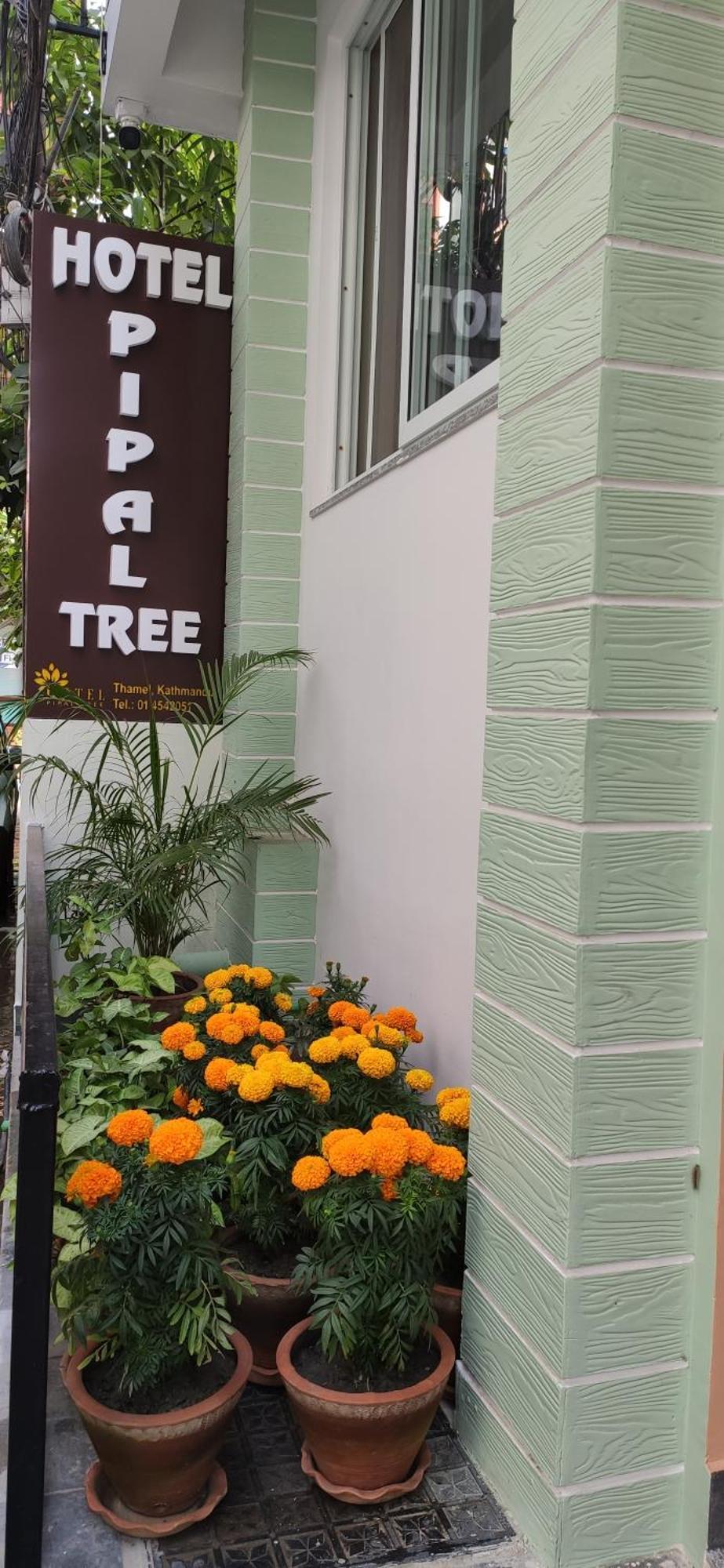 Hotel Pipal Tree كاتماندو المظهر الخارجي الصورة